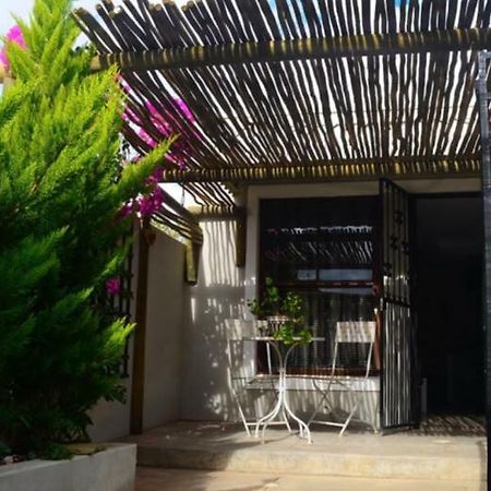 Peace Cottage Монтегю Екстериор снимка